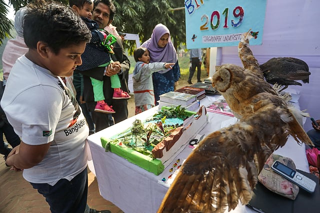 স্টল দেখছে শিশুটি।