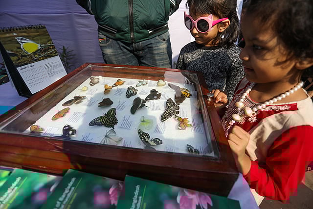 ছিল প্রজাপতি প্রদর্শনীও।