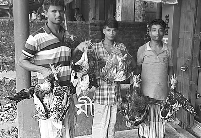 হাঁস–মুরগি বিক্রির জন্য এভাবেই উল্টো করে ঝুলিয়ে নিয়ে ঘোরেন বিক্রেতারা