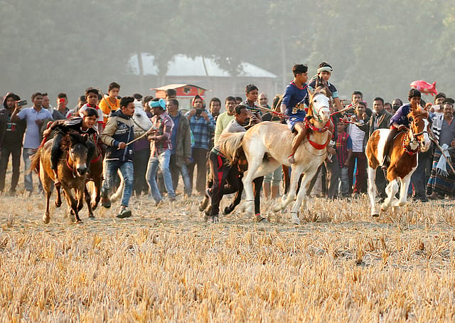 খুলনা বিভাগের বিভিন্ন জেলা-উপজেলা থেকে শৌখিন ঘোড়াপ্রেমিকেরা ঘোড়া নিয়ে জড়ো হন। তাঁরা শুধু প্রতিযোগিতার জন্যই ঘোড়া পোষেন।