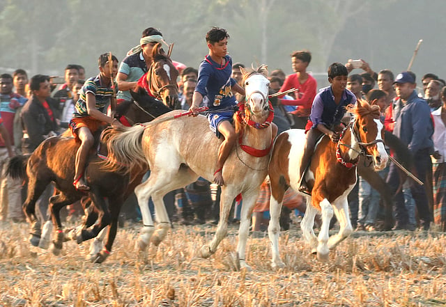যেখানেই খেলা হয়, সেখানেই ঘোড়া নিয়ে ছুটে যান এই শৌখিন ঘোড়াপ্রেমীরা।