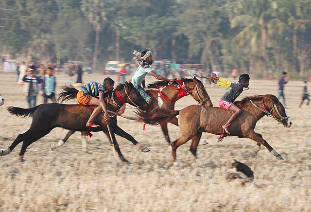 ঘোড়াগুলোর নামও বেশ—পঙ্খিরাজ, পবনরাজ, হৃদয় বাংলা, রাজদুলাল, মুক্তিযোদ্ধা, বাহাদুর, সোনার তরি, জং বাহাদুর, সোনার ময়না, সুপারস্টার, জঙ্গিরাজ, টিপু সুলতান, জালালি, মণিরাজ, বাংলার ফুল, সায়বাজ প্রভৃতি।