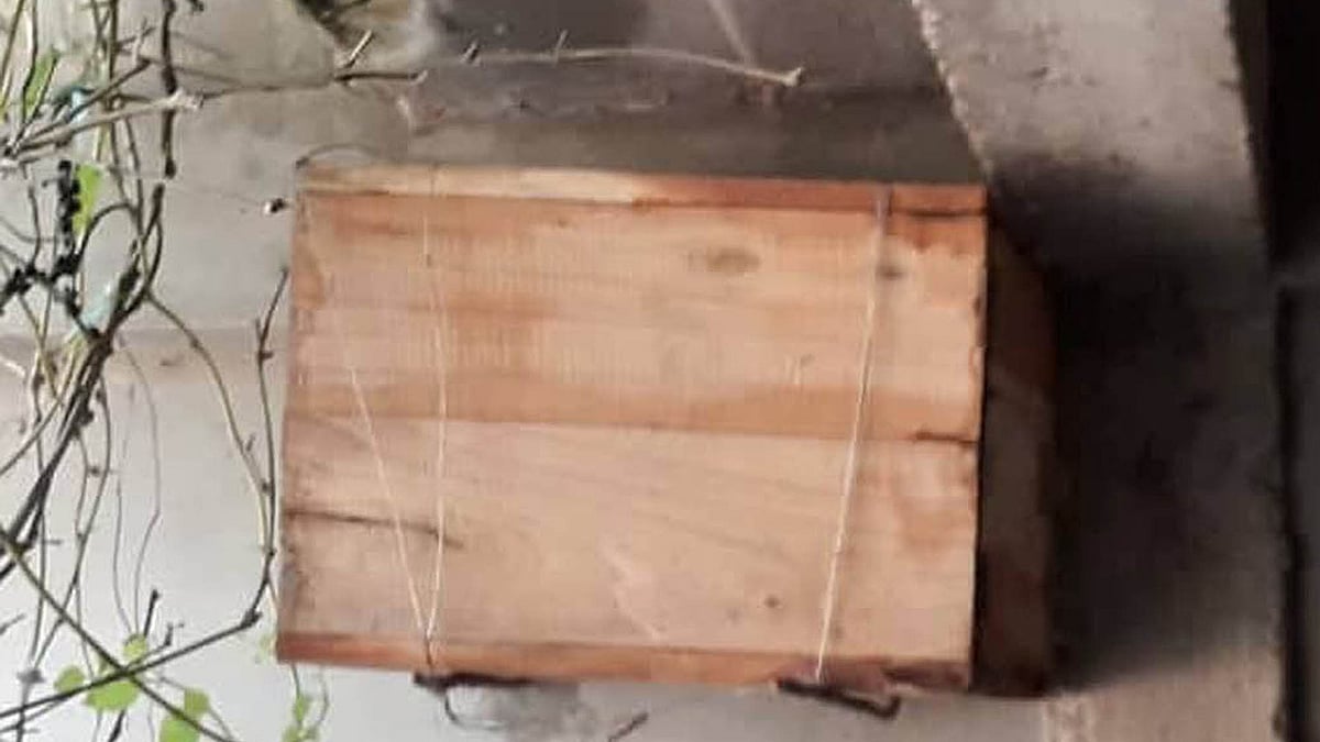 মৌলভীবাজারের কমলগঞ্জের আদমপুরে বাণিজ্যিকভাবে মধু চাষের ব্যাপকতা বেড়েছে। ছবি: প্রথম আলো