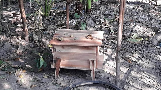 একেক বাক্স থেকে বছরে গড়ে ১০ হাজার টাকা আয় হয়। ছবি: প্রথম আলো