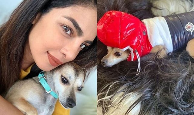 ডায়নার সঙ্গে প্রিয়াঙ্কা চোপড়া