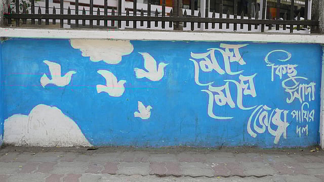 ‘মেঘে মেঘে ভেজা কিছু সাদা পাখির দল’।