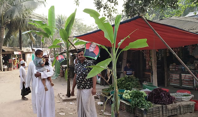 আওয়ামী লীগের প্রার্থী ঘোষণার প্রতিবাদে সড়কে রোপণ করা হয়েছে কলাগাছ। বটতলী স্টেশন, চকরিয়া, কক্সবাজার ১০ ফেব্রুয়ারি। ছবি: প্রথম আলো
