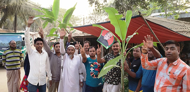 উপজেলা পরিষদ নির্বাচনে আওয়ামী লীগের প্রার্থী পরিবর্তনের দাবিতে বিভিন্ন সড়ক ও মোড়ে কলাগাছ রোপণ করা হয়েছে। বটতলী স্টেশন, চকরিয়া, কক্সবাজার ১০ ফেব্রুয়ারি। ছবি: এস এম হানিফ