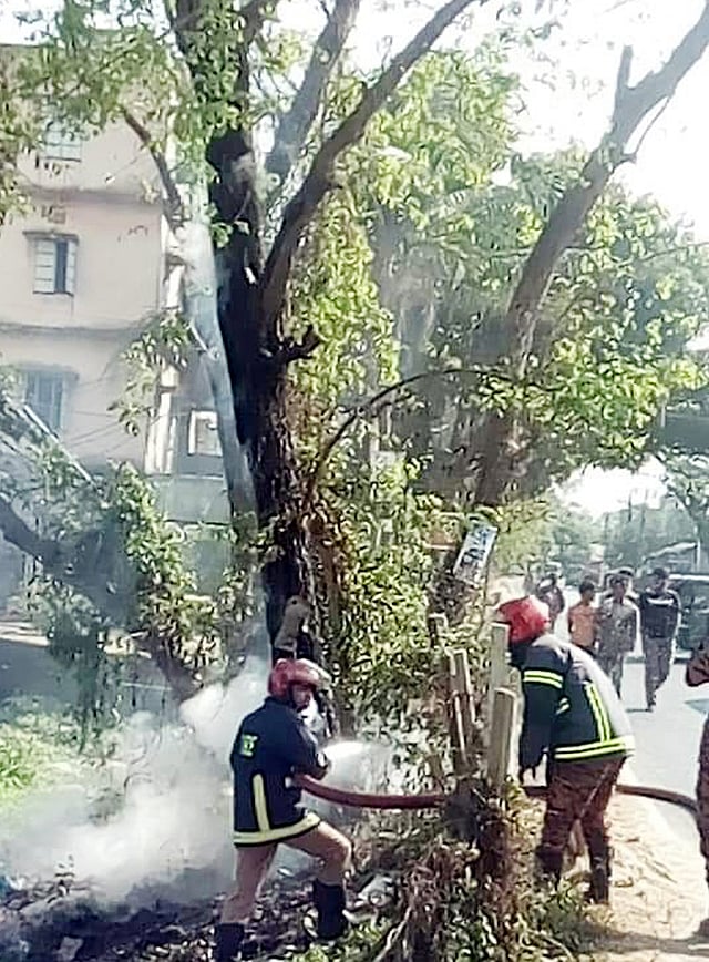 রাঙ্গুনিয়া থানাসংলগ্ন এলাকায় সড়কের পাশে গাছে লাগা আগুন নেভান ফায়ার সার্ভিসের কর্মীরা। চট্টগ্রাম, ১১ ফেব্রুয়ারি। ছবি: প্রথম আলো