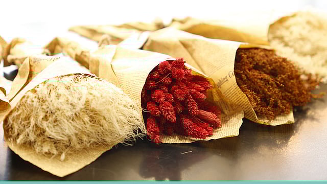 কৃতজ্ঞতা: নোয়াহ্‌ হোম, ছবি: নকশা