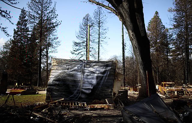 ম্যুরাল যখন শেডের গায়ে।