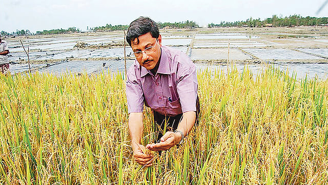 মাঠে গবেষণায় ব্যস্ত বিজ্ঞানী মির্জা মোফাজ্জল ইসলাম।  ছবি: সংগৃহীত