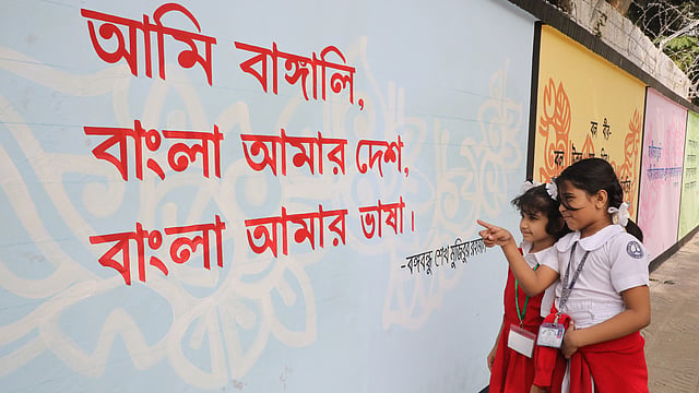স্কুল শেষে দেয়ালচিত্র দেখতে এসেছে দুই বোন।