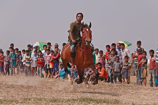 শুরু হলো ঐতিহ্যবাহী ঘোড়দৌড়।