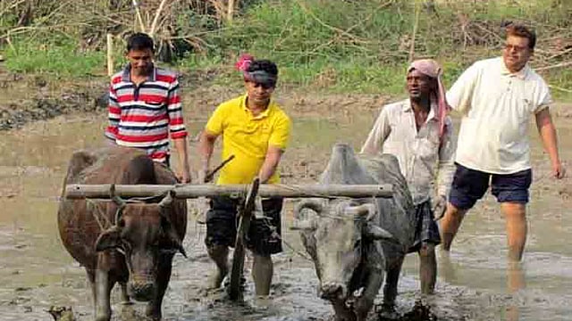 পুলিশ সদস্যদের নিয়ে জমি চাষ করছেন নড়াইলের পুলিশ সুপার মোহাম্মদ জসিম উদ্দিন। ছবি: সংগৃহীত