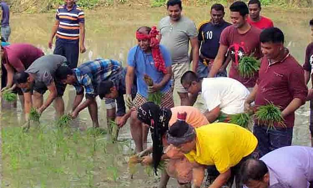 পুলিশ সদস্যদের নিয়ে জমিতে ধান রোপণ করছেন মোহাম্মদ জসিম উদ্দিন। ছবি: সংগৃহীত