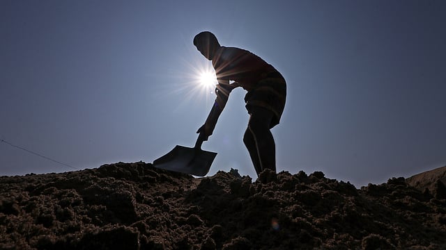 বালু উত্তোলনের পর তা বেলচা দিয়ে ট্রাকে তুলছেন এক শ্রমিক। বাদাঘাট, সিলেট, ২৫ ফেব্রুয়ারি। ছবি: আনিস মাহমুদ