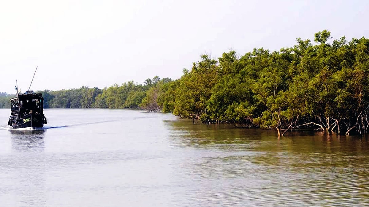 ছবি: ভাস্কর মুখার্জী