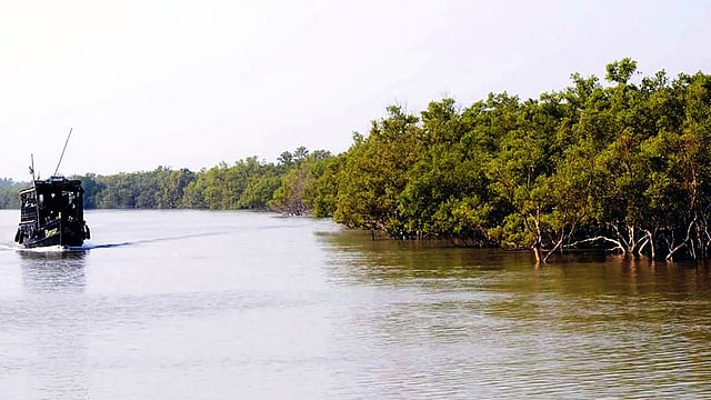 ছবি: ভাস্কর মুখার্জী