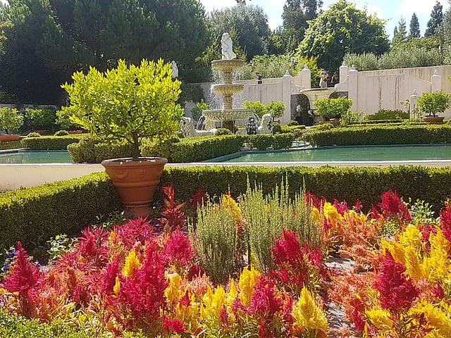 বাহারি ফুল আর গাছের সমারোহ হ্যামিল্টন গার্ডেনসে । ছবি: লেখক