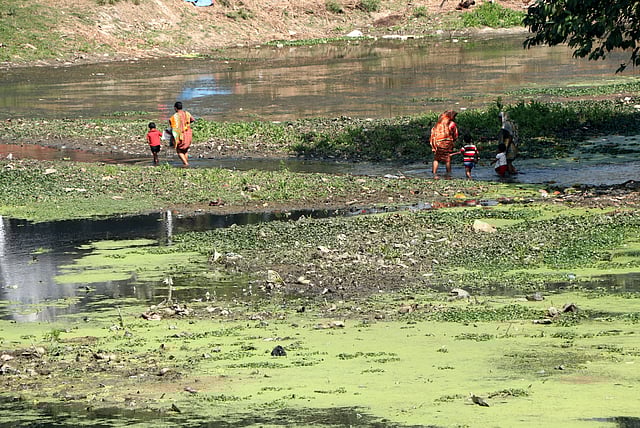 করতোয়া এখন শুকিয়ে গেছে। হাঁটুপানি মাড়িয়ে চলাচল। দত্তবাড়ি কদমতলী ঘাট, বগুড়া।