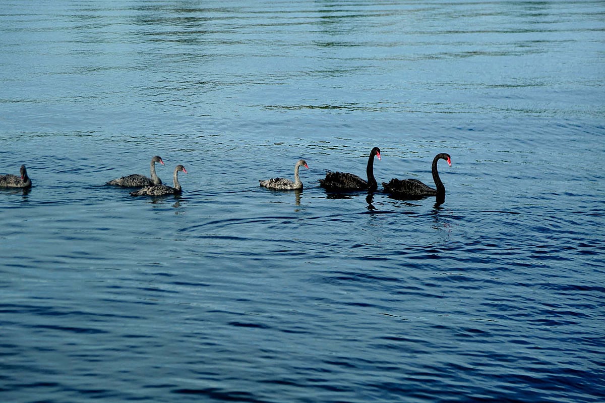 চোখজুড়ানো কারাপিরো লেক। ছবি: রতন গোমেজ