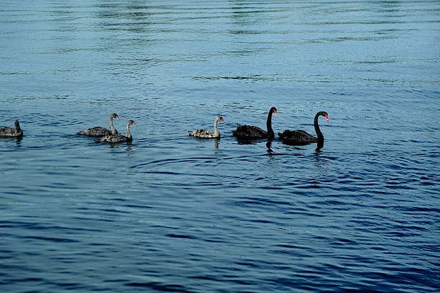চোখজুড়ানো কারাপিরো লেক। ছবি: রতন গোমেজ