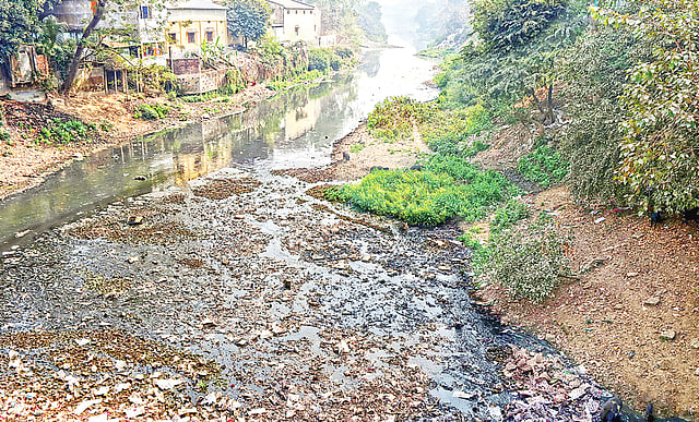 বিপন্ন করতোয়া নদী। কোথাও হাঁটুপানি, কোথাও আবার শুকিয়ে গেছে। সম্প্রতি বগুড়া শহরের ফতেহ আলী সেতু এলাকায়।  ছবি: সোয়েল রানা