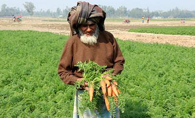প্রথম আলো ফাইল ছবি।