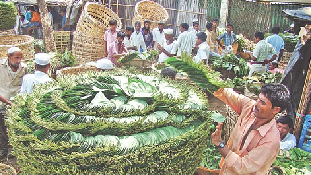 বরজ থেকে পান তুলে ঝুড়ি ভর্তি করে আনা হয়েছে বাজারে। গত বুধবার দুপুরে টেকনাফ সদরের বটতলীর পানবাজারে।  প্রথম আলো