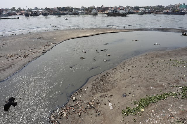 শুষ্ক মৌসুমে চর জেগেছে মুমূর্ষু বুড়িগঙ্গায়। ফরিদাবাদ, ঢাকা। ছবি: দীপু মালাকার