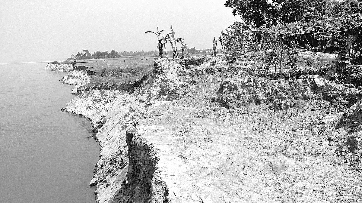 যমুনার গর্ভে বিলীন হয়ে যাচ্ছে ফসলি জমি। ১১ মার্চ মানিকগঞ্জের দৌলতপুর উপজেলার উত্তর বাচামারা গ্রামে।  ছবি: প্রথম আলো