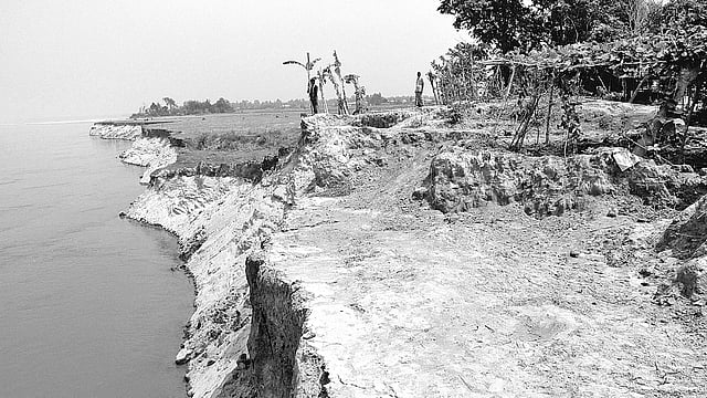 যমুনার গর্ভে বিলীন হয়ে যাচ্ছে ফসলি জমি। ১১ মার্চ মানিকগঞ্জের দৌলতপুর উপজেলার উত্তর বাচামারা গ্রামে।  ছবি: প্রথম আলো