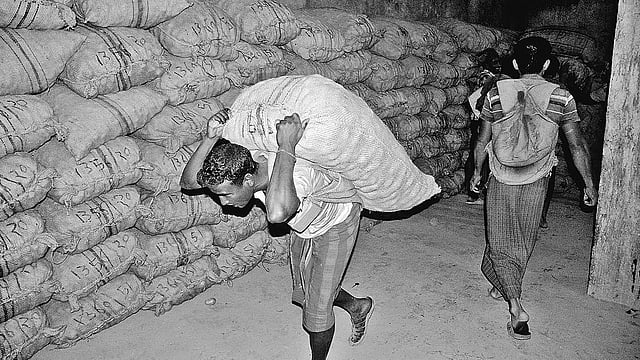 দিনাজপুর শহরের সুইহারি এলাকার একটি হিমাগারে ৯০ কেজি ওজনের বস্তা বহন করছেন এক শ্রমিক।  ছবি: প্রথম আলো