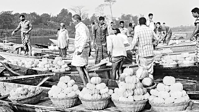 নবাবগঞ্জের ভাঙ্গাভিটার খেত থেকে বাঙ্গি তুলে বিক্রির জন্য হাটে নিয়ে যাচ্ছেন কৃষকেরা।  প্রথম আলো