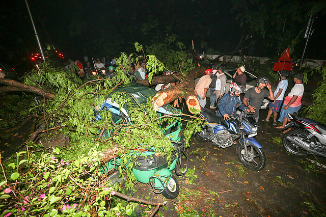 ঝড়ে রাজধানীর বিভিন্ন সড়কে গাছের ডাল, বিদ্যুতের খুঁটি ভেঙে পড়েছে। হেয়ার রোড, ঢাকা, ৩১ মার্চ। ছবি: হাসান রাজা