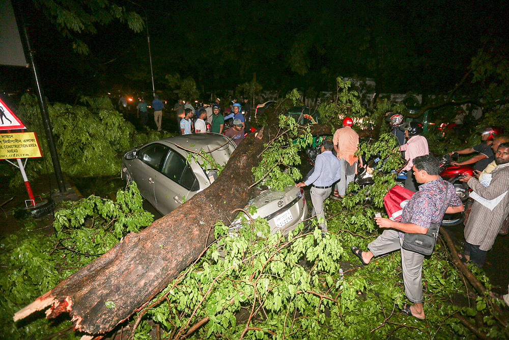ঝড়ে রাজধানীর বিভিন্ন সড়কে গাছের ডাল, বিদ্যুতের খুঁটি ভেঙে পড়েছে। নগরীর হেয়ার রোড এলাকায় চলন্ত গাড়ির ওপর গাছের ডাল ভেঙে পড়ে। এতে গুরুতর আহত হন বেশ কয়েকজন। হেয়ার রোড, ঢাকা, ৩১ মার্চ। ছবি: হাসান রাজা