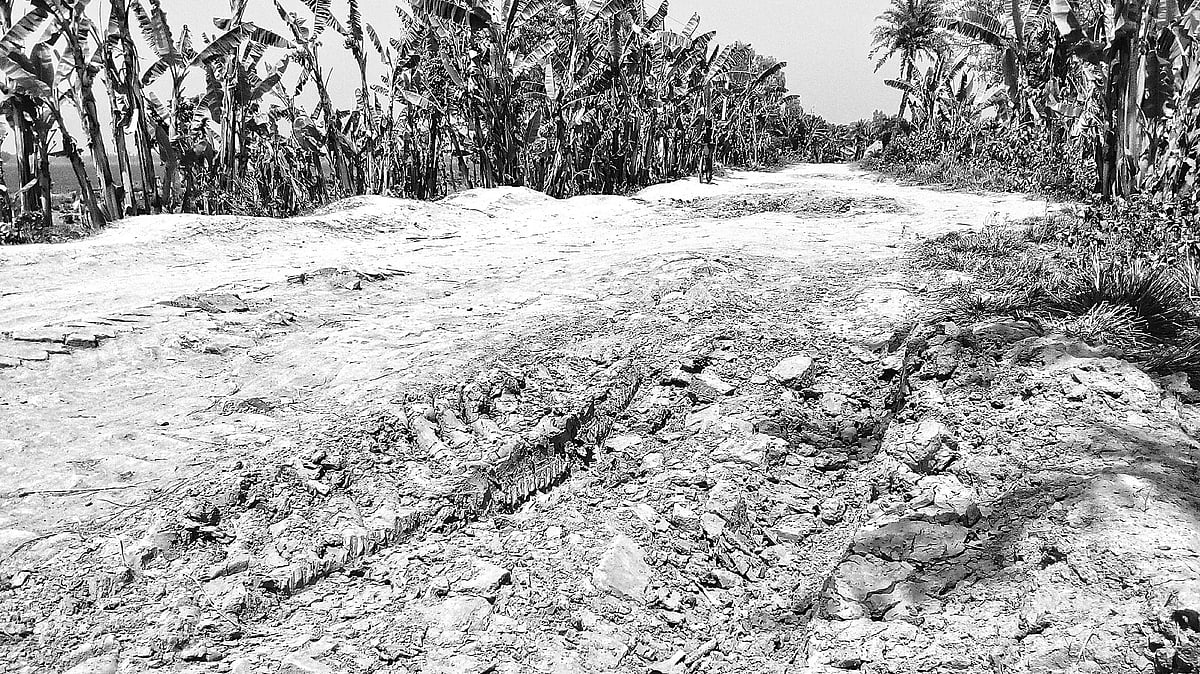 নওগাঁর রানীনগরের বেহাল এক কিলোমিটার রাস্তা। উপজেলার জামগ্রাম এলাকায়।  প্রথম আলো