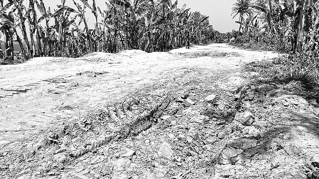 নওগাঁর রানীনগরের বেহাল এক কিলোমিটার রাস্তা। উপজেলার জামগ্রাম এলাকায়।  প্রথম আলো