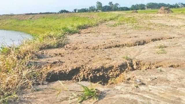 বৃষ্টির পানিতে ধুয়ে গেছে ফসলরক্ষা বাঁধের মাটি । সুনামগঞ্জের জগন্নাথপুরের নলুয়ার হাওরের ৬ নম্বর প্রকল্পে। প্রথম আলো