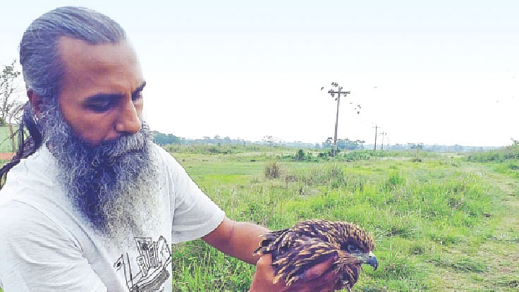 অবমুক্ত করা হচ্ছে ভুবন চিল। গতকাল দক্ষিণ সুরমার পারাইরচক এলাকায়। প্রথম আলো