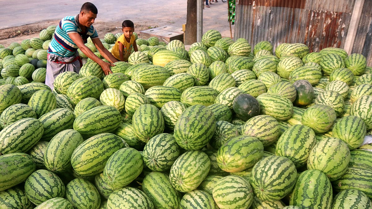 প্রথম আলোর ফাইল ছবি
