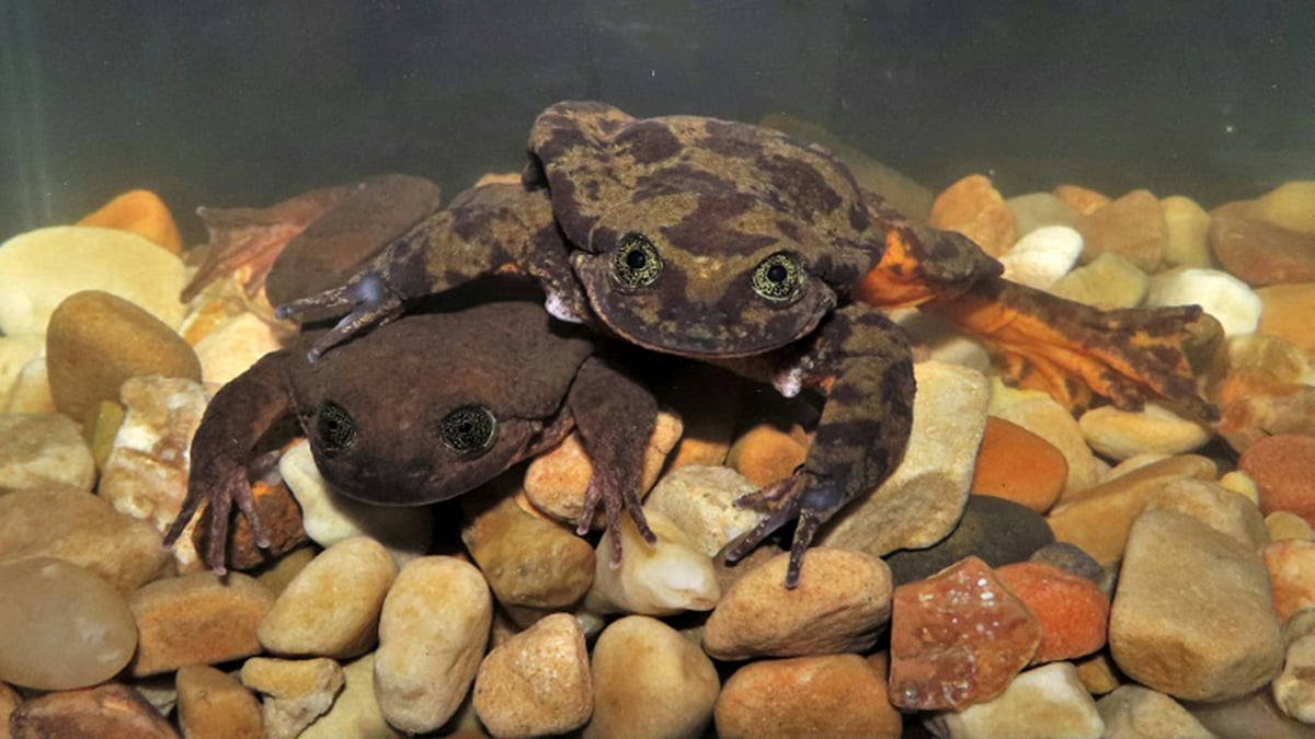 ছবি: এএফপি