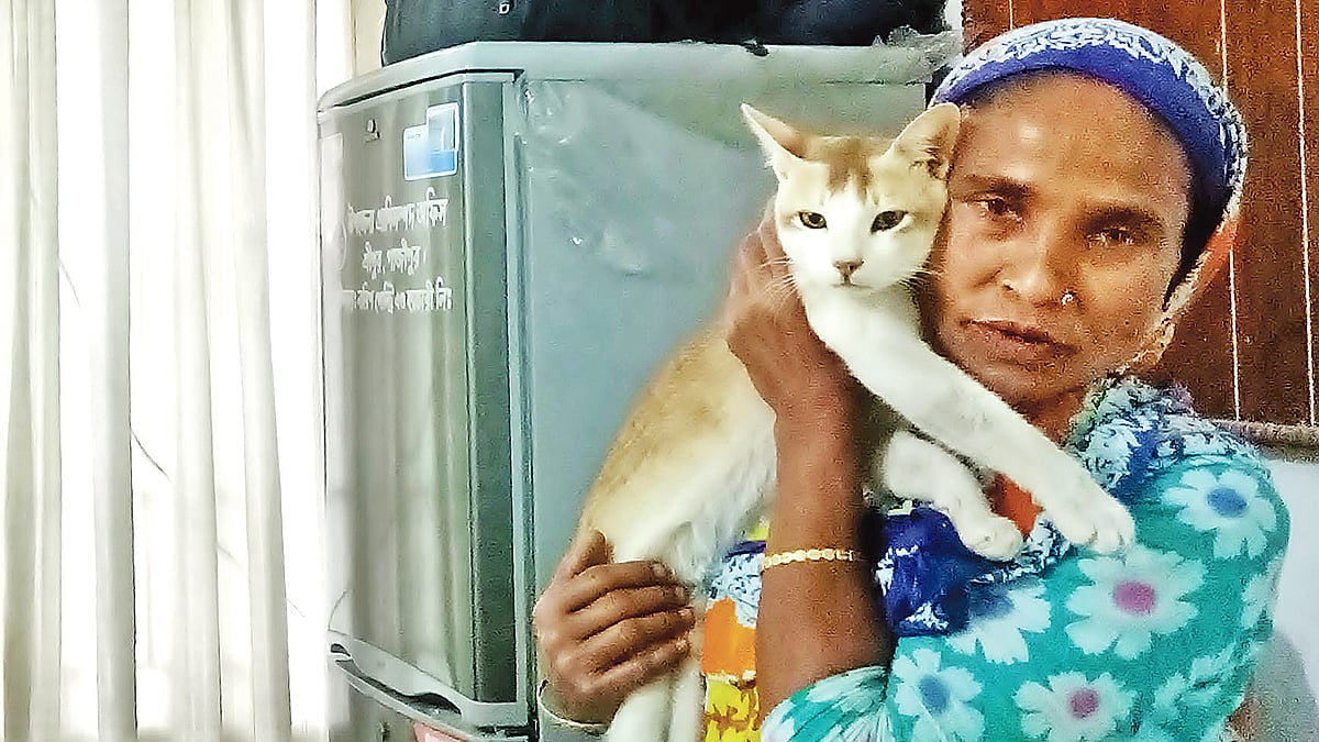 প্রাণিসম্পদ কর্মকর্তার কার্যালয়ে আছিয়ার কোলে ‘মিনু’। ছবি: প্রথম আলো