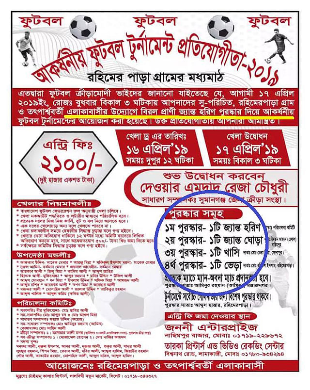 হরিণ পুরস্কারের ঘোষণা দিয়ে ছাপানো টুর্নামেন্টের পোস্টার।