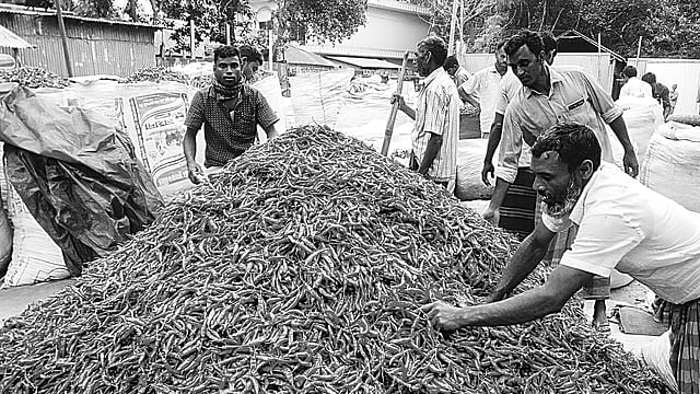 মরিচ বিক্রির জন্য বাজারে স্তূপ করে রাখা হয়েছে। গতকাল ইসলামপুর উপজেলার গুঠাইল মরিচের হাটে।  ছবি: প্রথম আলো