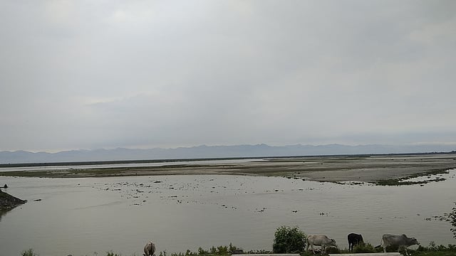 আপাতশান্ত ব্রহ্মপুত্রের বর্ষায় ভয়ংকর রূপ নিয়ে চিন্তা কমছে না আসামবাসীর। ছবি: প্রথম আলো