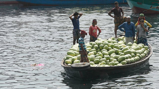দেশের দক্ষিণাঞ্চলের বিভিন্ন চর এলাকা থেকে নৌপথে রাজধানীর বাজারে আসে এসব তরমুজ।