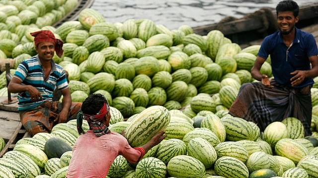 কয়েক হাত হয়ে এই তরমুজ পৌঁছে যাবে ঢাকার বিভিন্ন বাজারে। তখন দামটা আরেকটু বেড়ে যাবে।
