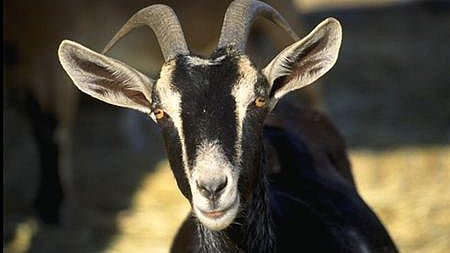 প্রতীকী ছবি